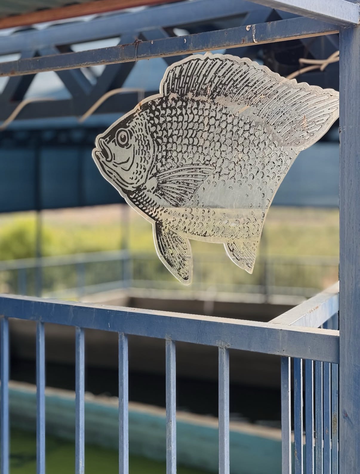 Fish pond sign at Zaitona Farm