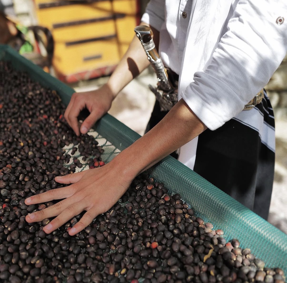 Khawlani Coffee Story